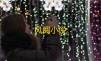 风阅小说